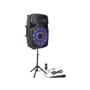 Party Light & Sound Coluna Amplificada 15'' 800w Usb/bt/sd Suport/micro Party - PARTY-15PACK